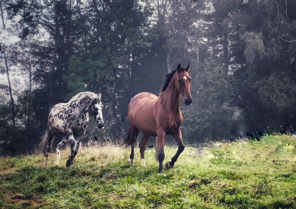 6ebee57f-5b45-431a-bc9a-6ba5d257e7f4 6ebee57f-5b45-431a-bc9a-6ba5d257e7f4