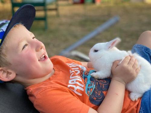 Tiere zum Streicheln Tiere zum Streicheln