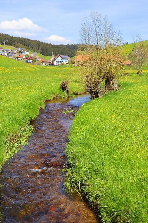 furtwangen-248-rohrbach_640