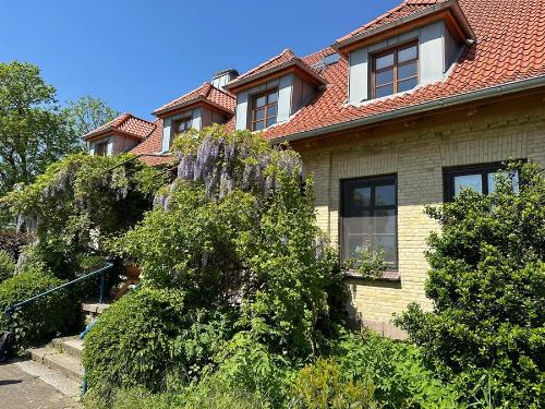 ansicht3