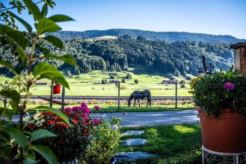 Was für ein Ausblick!
