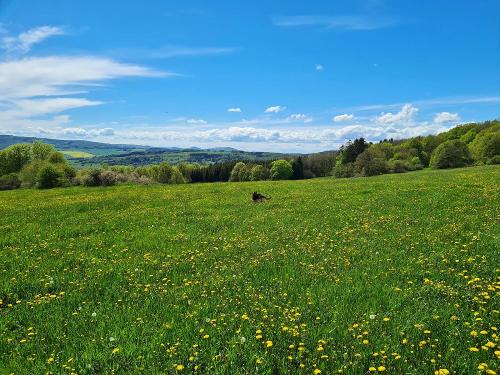 Ferienwohnung Zur Rhön Tischlerei: Landschaft Rhön