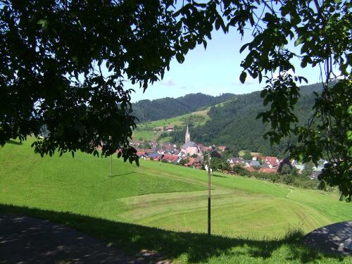 fussbuehlhof_blick_oberharmersbach