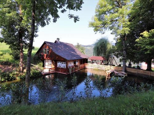 fussbuehlhof_weiher_sommer