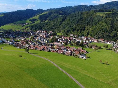 Sicht_auf_Oberharmersbach