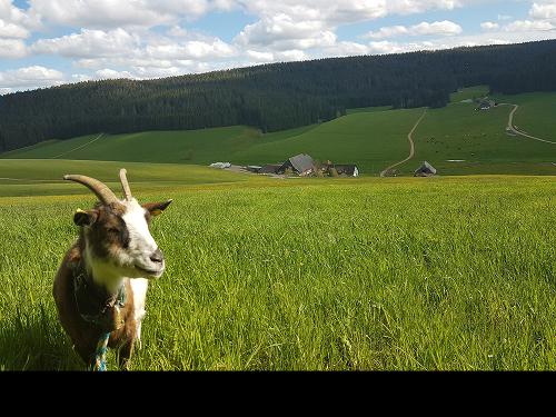 bauernhof-05
