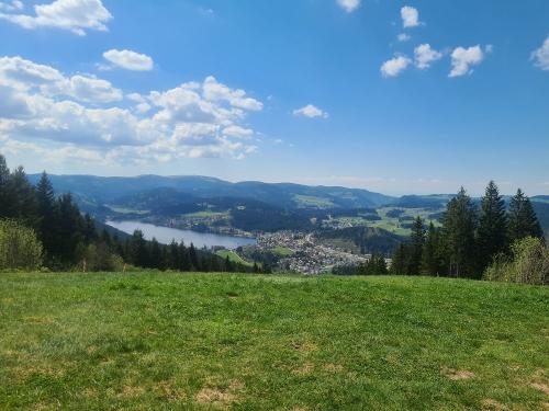 Blick auf den Titisee
