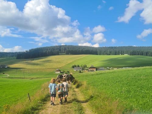 Blick auf den Wendelhof