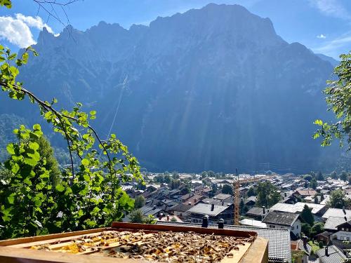Unsere Bienen oberhalb des Hofs Unsere Bienen oberhalb des Hofs
