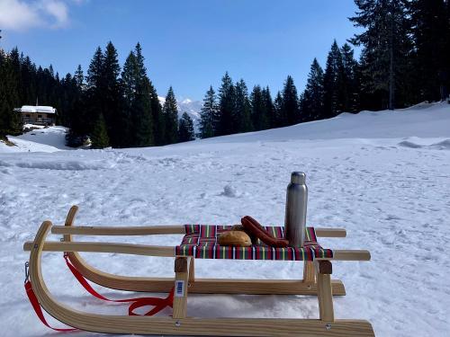 Rodeln Rodeln