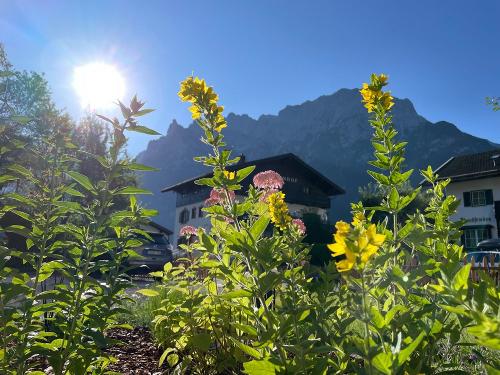 Karwendelblick Karwendelblick