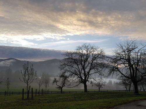 morgenstimmung