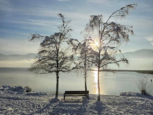 Am See