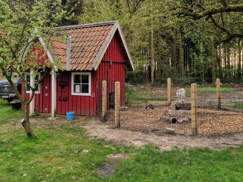 Hasen und Ziegen Stall