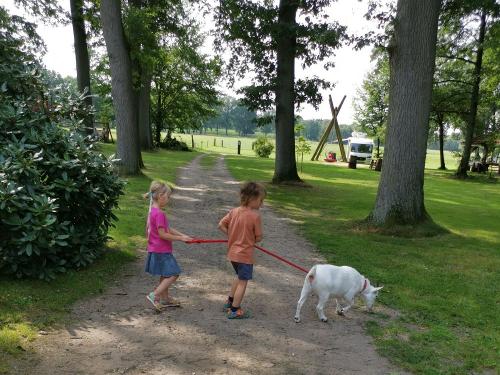 Mit Ziege Rosalie spazieren gehen