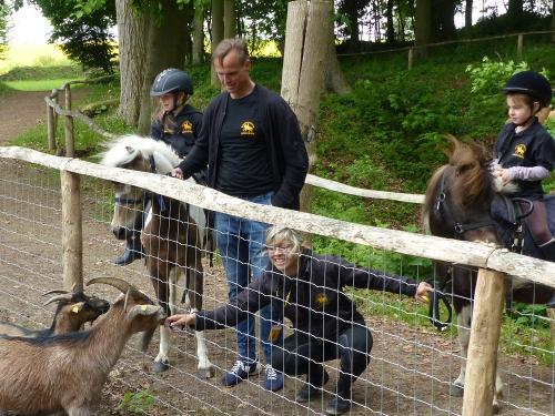 ponyreiten_streichelzoo_2