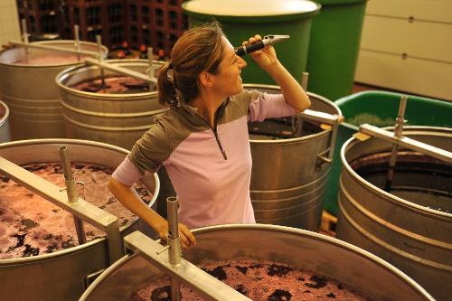 Weingut_Hirth_Refaktometer