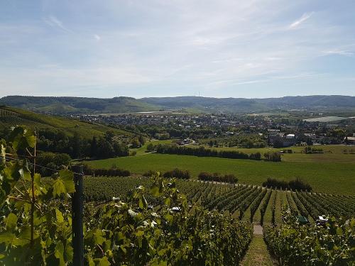 weingut_hirth_rebenherbst