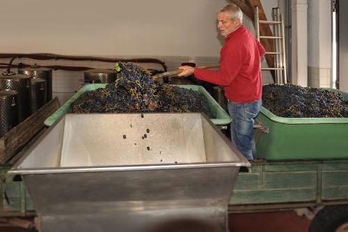 weingut_hirth_kellerarbeit_2