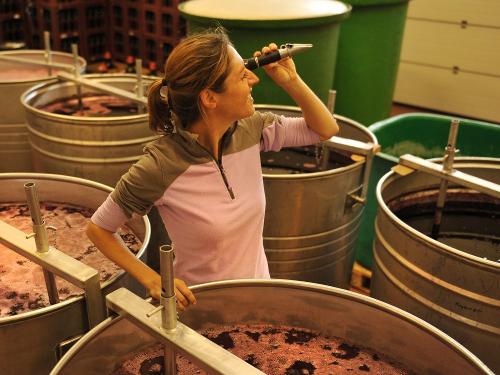 Weingut_Hirth_Refaktometer