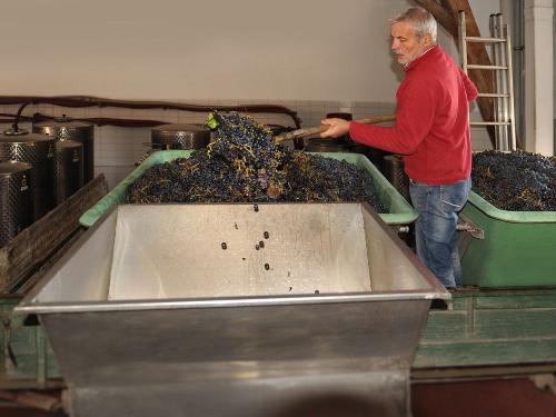 weingut_hirth_kellerarbeit_2