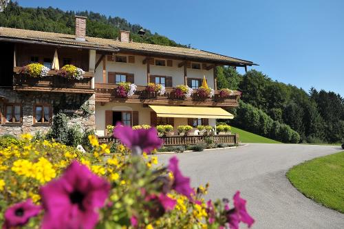 Blick vom Zuhaus auf das Bauernhaus und Blumenbeet