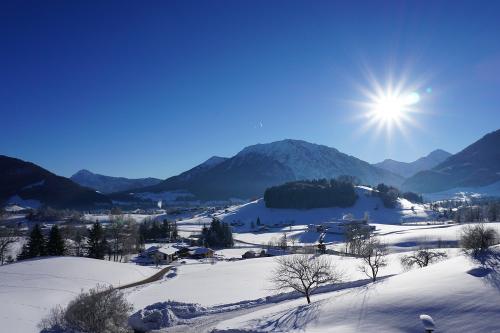 Traumwinter