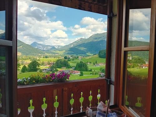 Morgendlicher Ausblick aus der Ferienwohnung