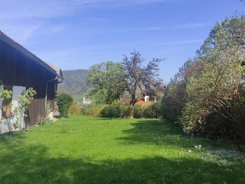 Große Spiel- und Liegewiese