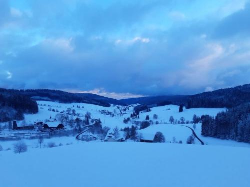 Blick über das Jostal