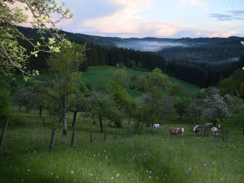 Kuhweide