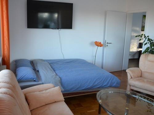 Wohnzimmer mit Schlafsofa