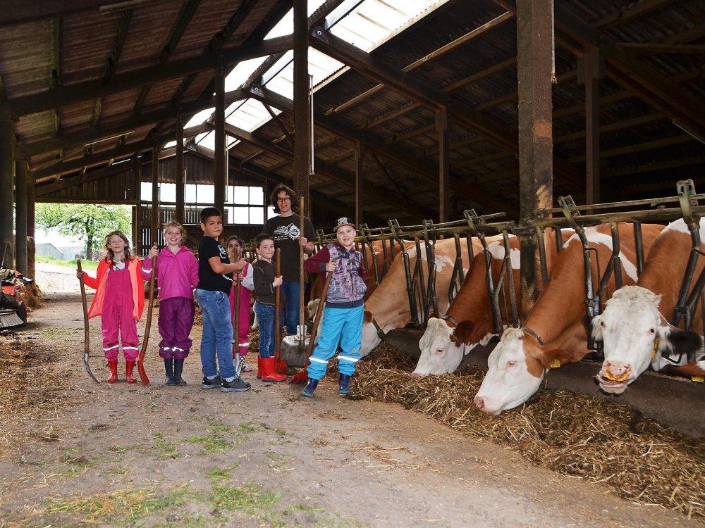 Kepplerhof - Im Stall mit anpacken