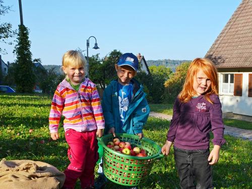 Kepplerhof -Äpfel von der Streuobstwiese