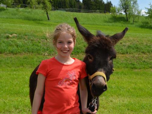 Unser Esel Locke