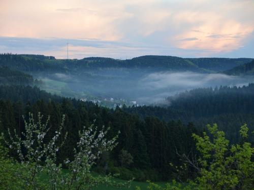 Nordschwarzwald