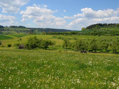 Aussicht vom Kepplerhof