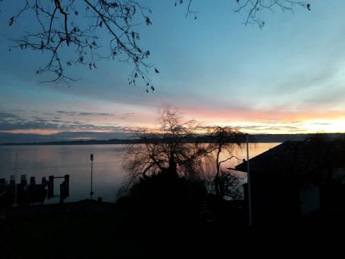 img-20240623-wa0030