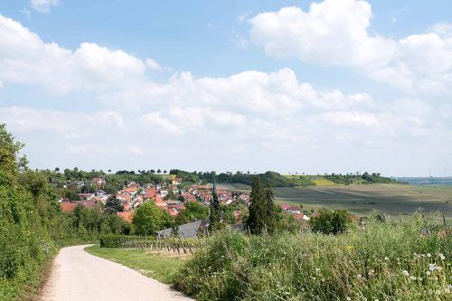 Bilck auf Vendersheim