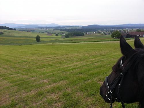 Blick auf Nachbardorf