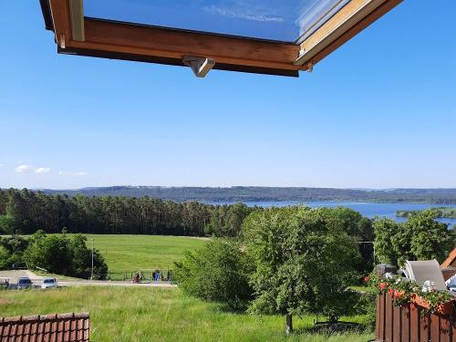 Aussicht FeWo  Eichhörnchen