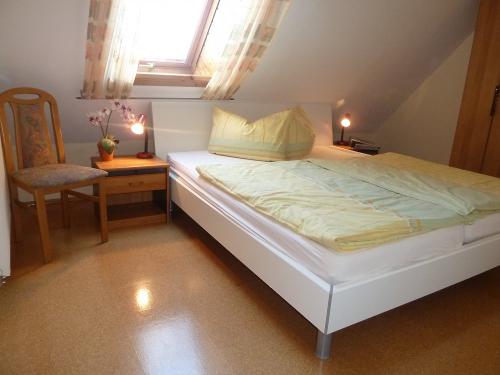 Wohnung Eichhörnchen