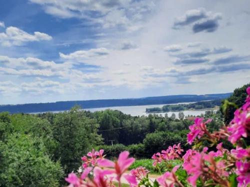 Aussicht vom Ferienhaus