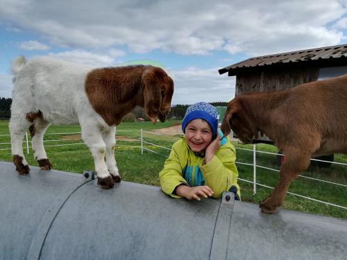 Zeigen sind Kletterer