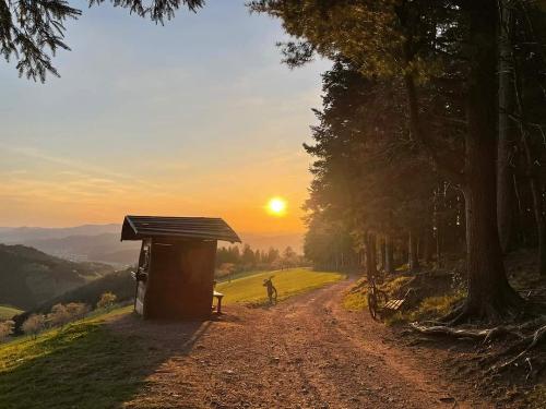 Stinneshof_Oberharmersbach_Waldweg