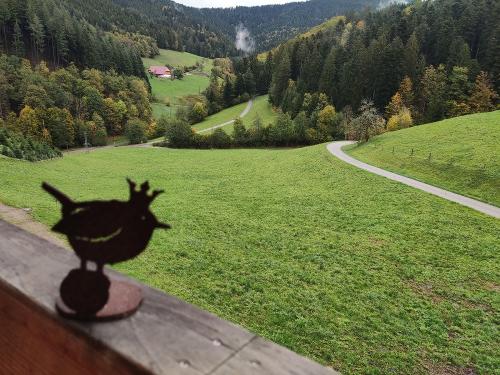 Blick vom Balkon