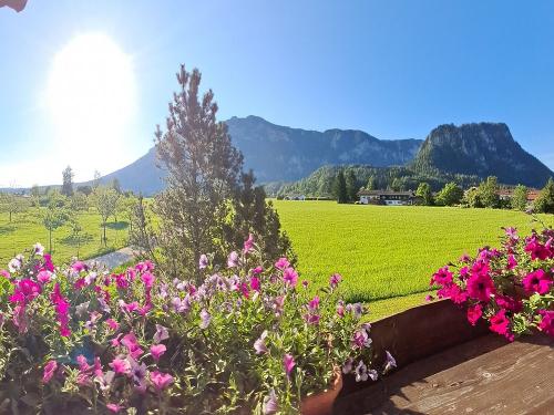Unser traumhafter Ausblick auf die Hausberge.