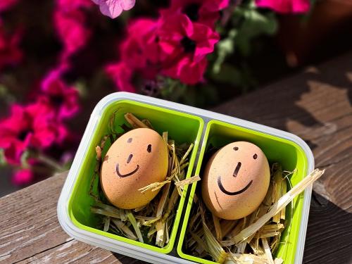 Morgens gibt s frische Eier von unseren Hühnern direkt auf den Frühstückstisch.