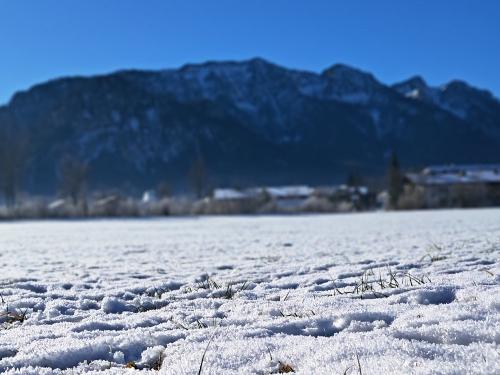 Genieße die Weihnachtszeit in der historischen Ödmühle.