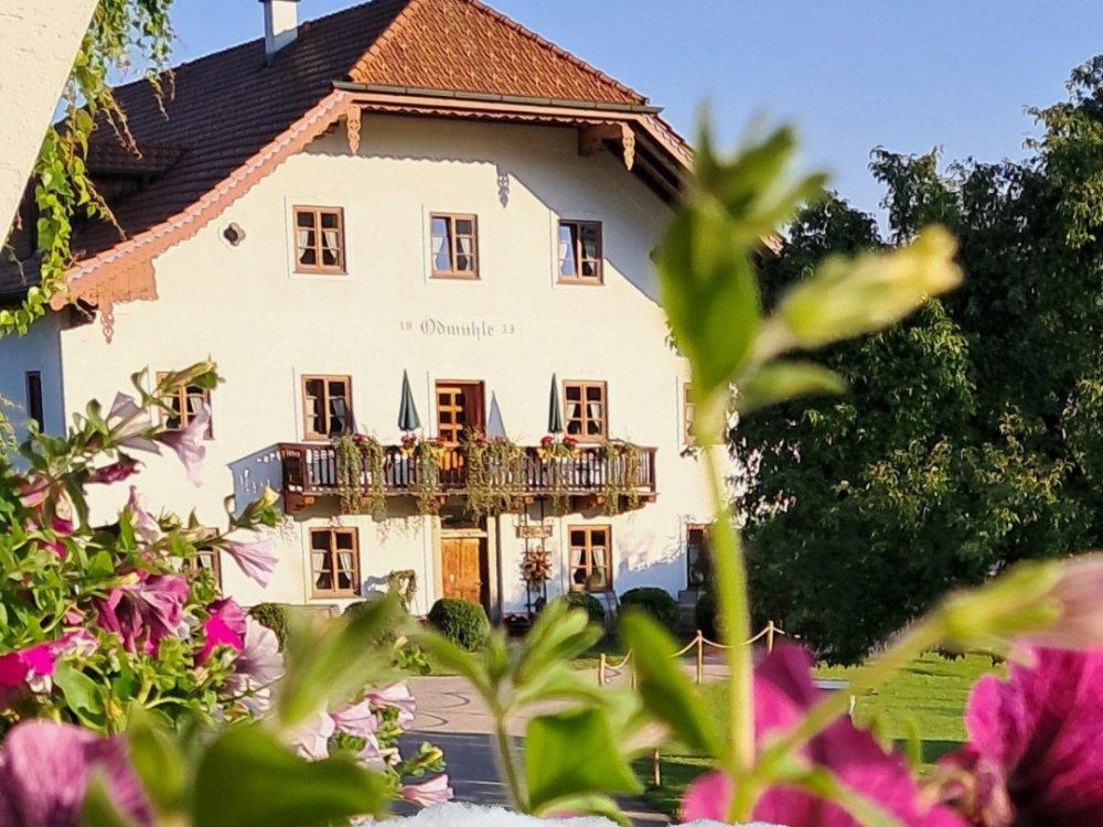 Profitiere bei uns von über 40 kostenlosen Freizeiterlebnissen mit der ChiemgauKarte.